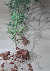 《芒种》