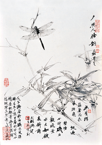 《花卉写生——斜阳深筱过红蜓》