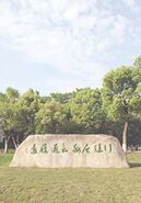 中国美术学院获批“浙江省国际化特色高校”