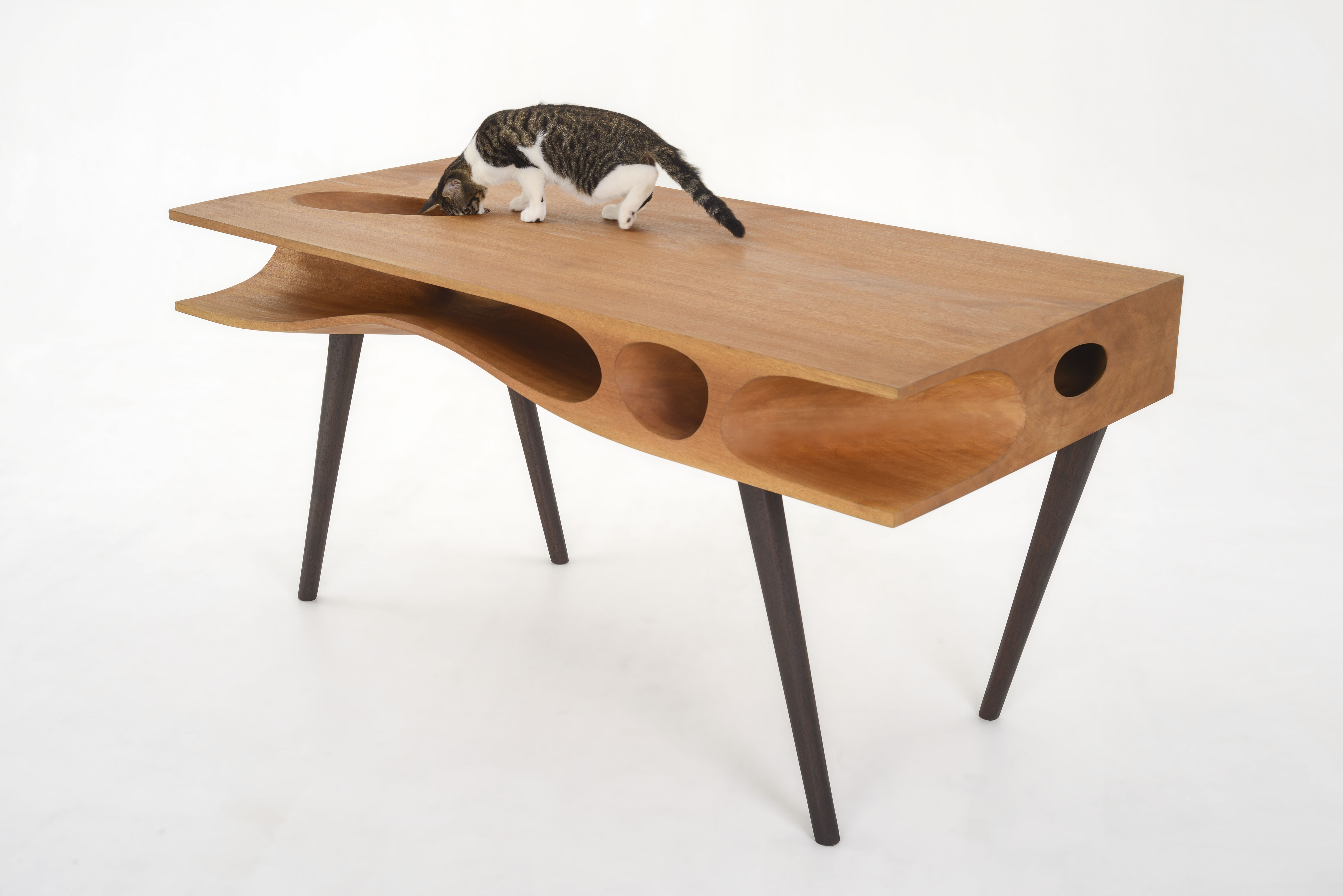 CATable | 猫桌