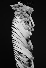 《白芍冉墨2》
