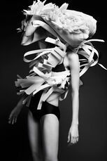 《白芍冉墨4》