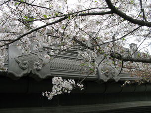 江涨桥2