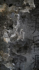 岁月流痕