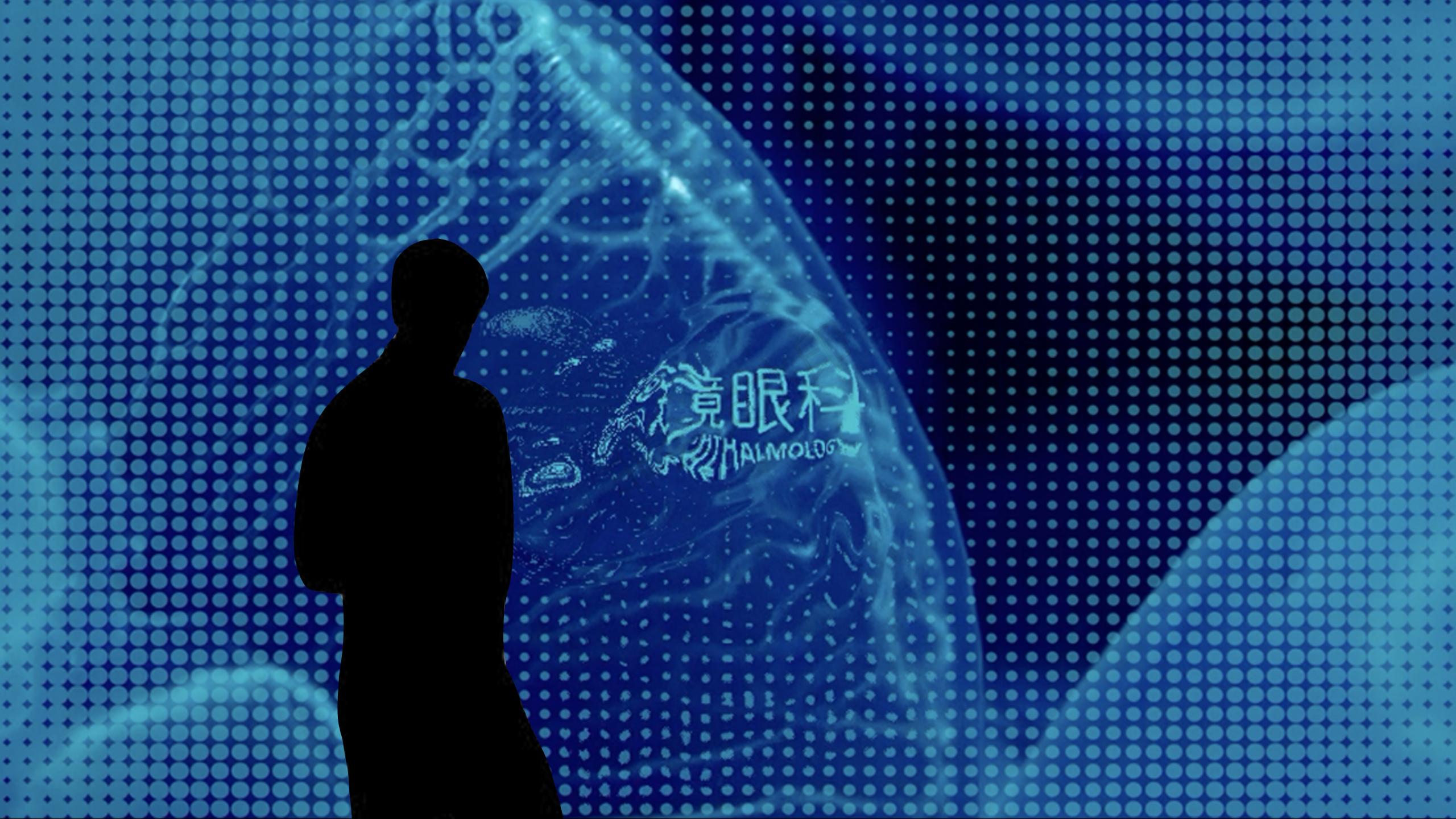 《数字媒体交互设计——品牌形象墙》