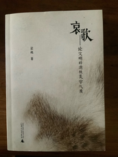 著作《哀歌——论文明的消极美学气质》，ISBN 978-7-5598-0562-1,广西师范大学出版社2018年。