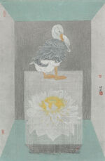  时空 领域9 
