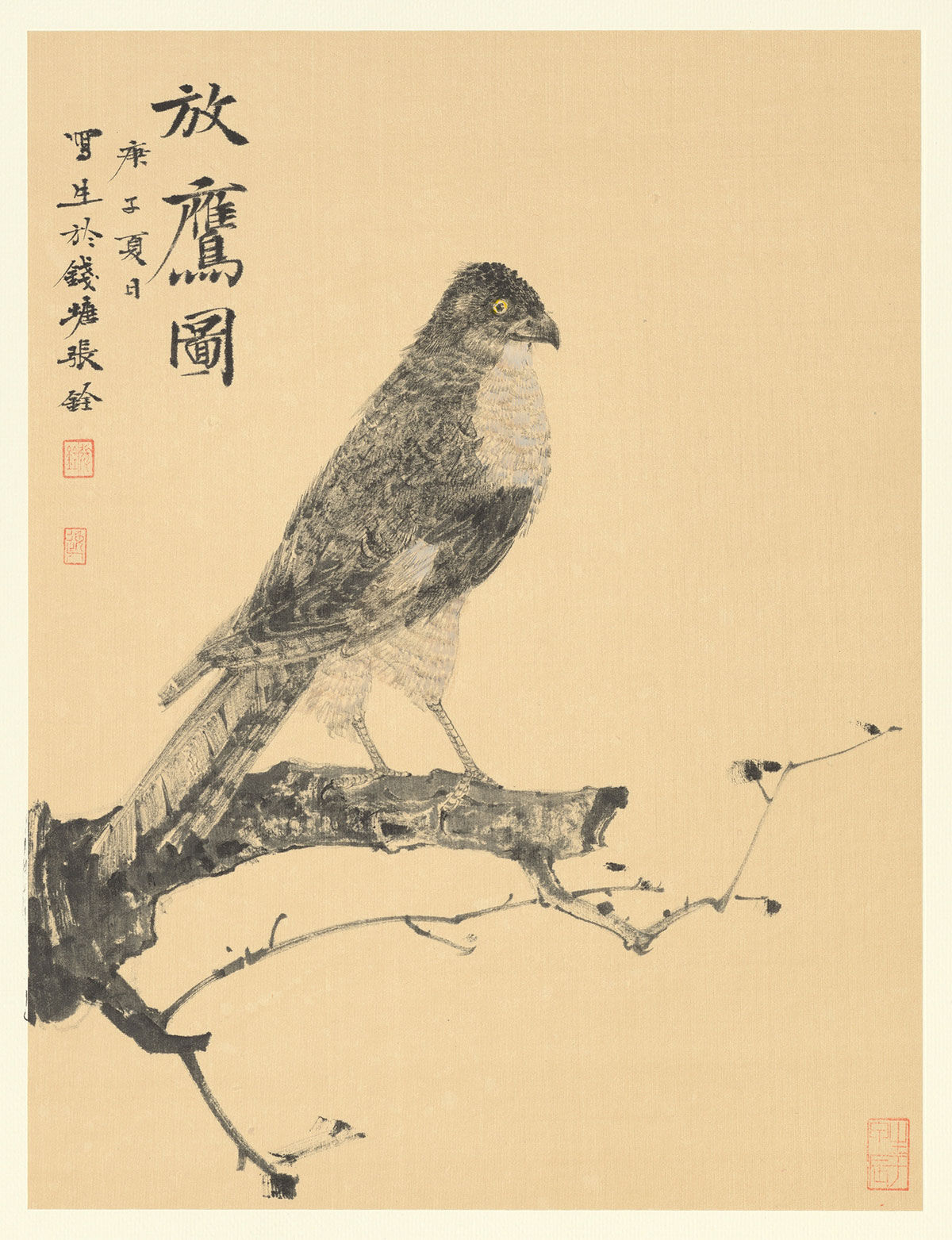 《禽鸟课徒》3