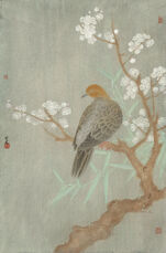  一落春 