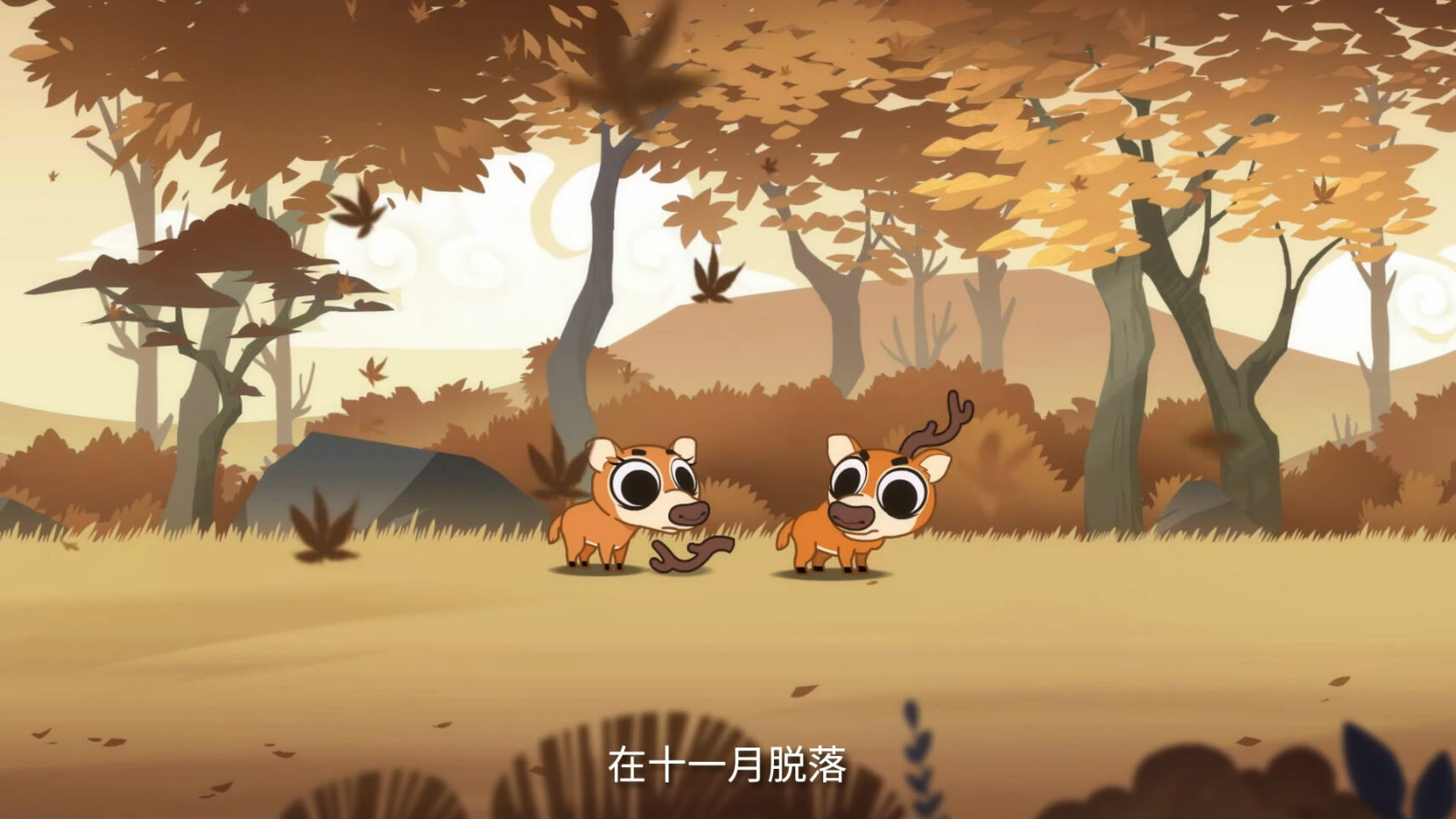 《摩登大自然》第一季公益动画 