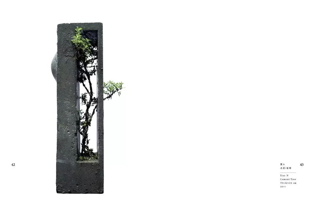《囿 ⅠV》：水泥／植物
