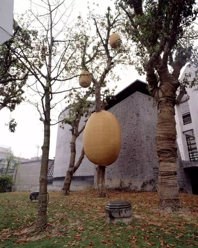《巢》