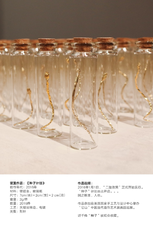 种子计划