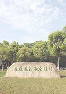 中国美术学院2023年新年贺词