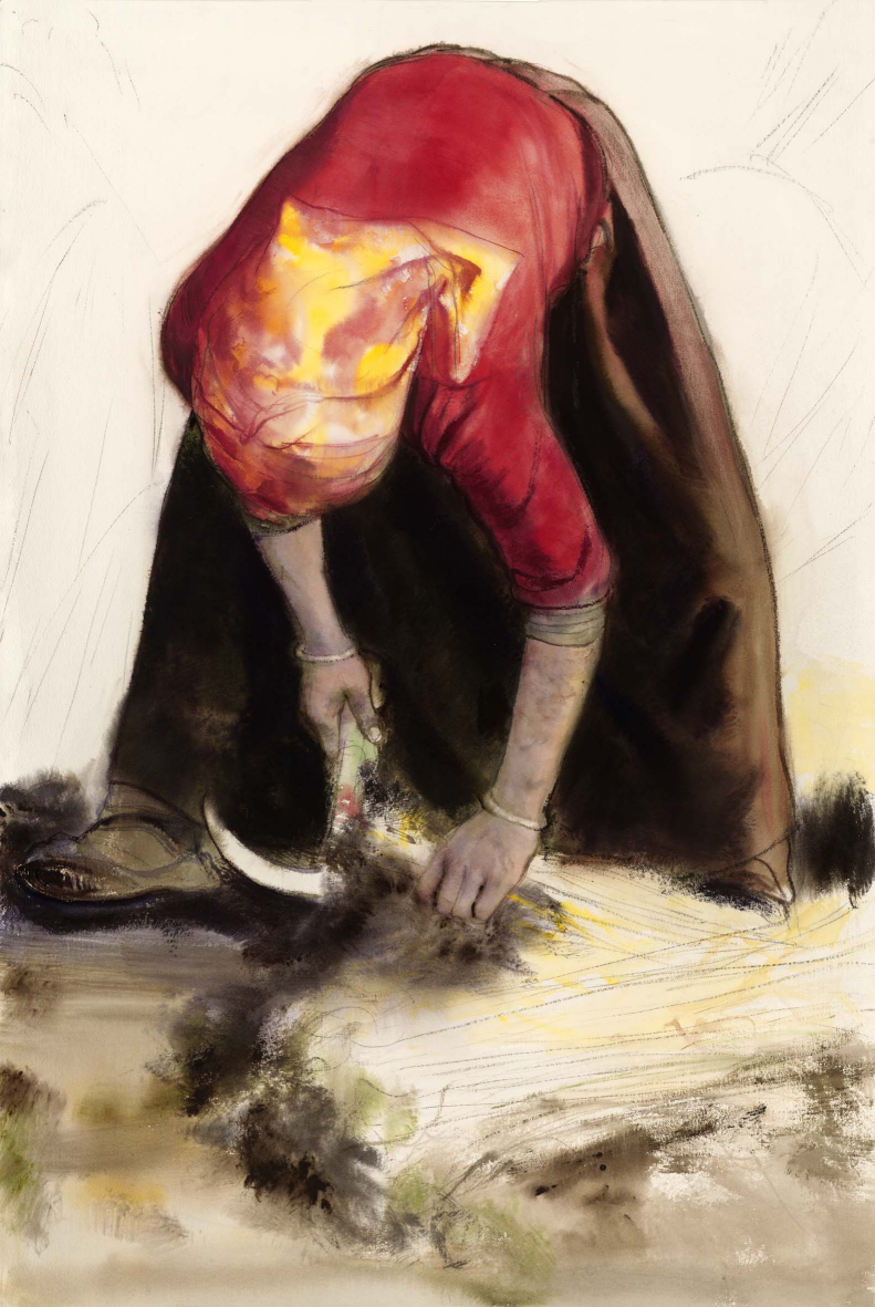 《收割》