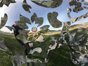 《生灵3 》2018年南京光影艺术展—“光之彩”
