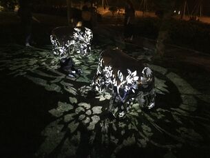 《生灵3 》2018年南京光影艺术展—“光之彩”