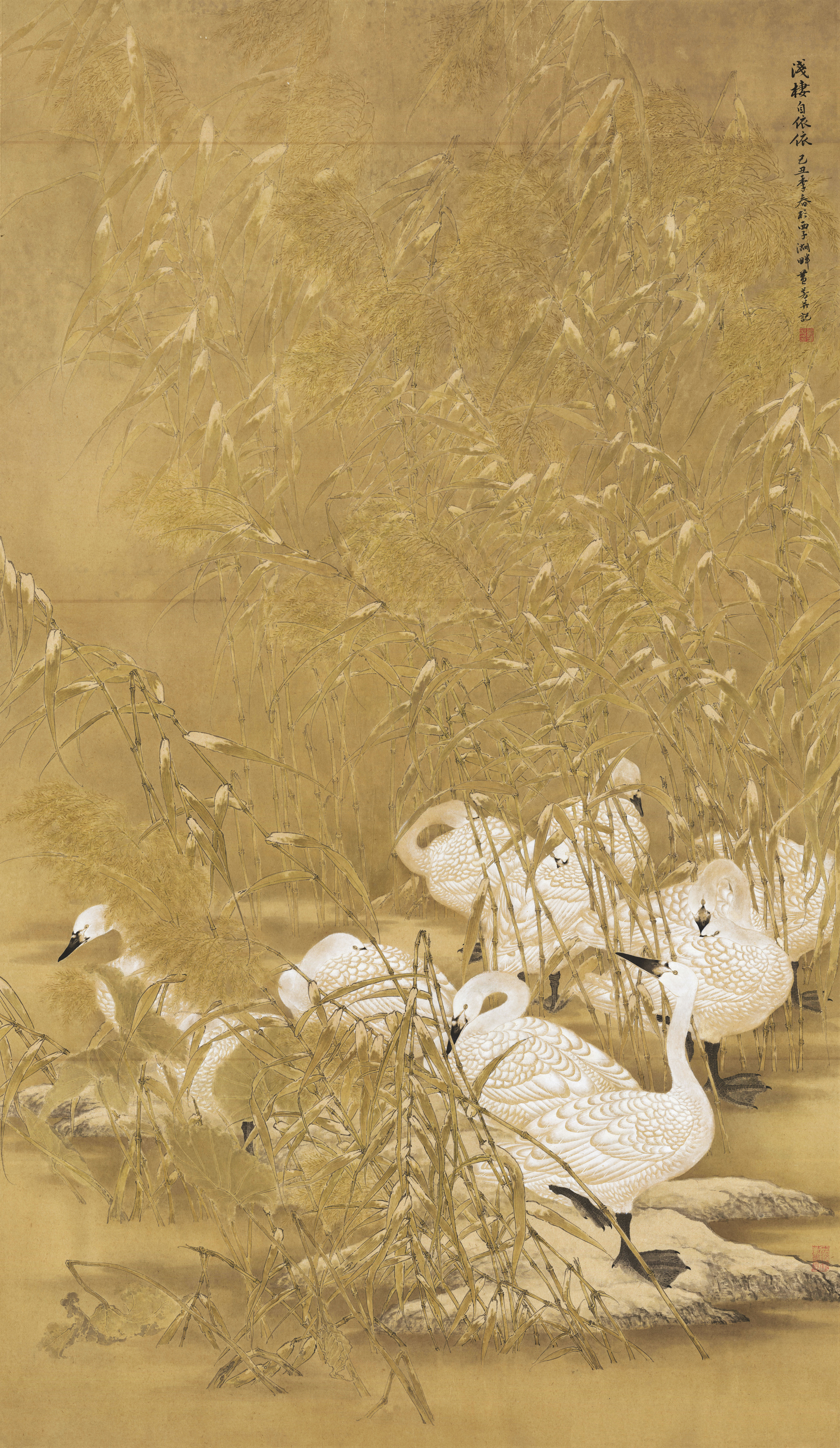 《浅栖自依依》