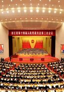 浙江两会上的“国美声音”